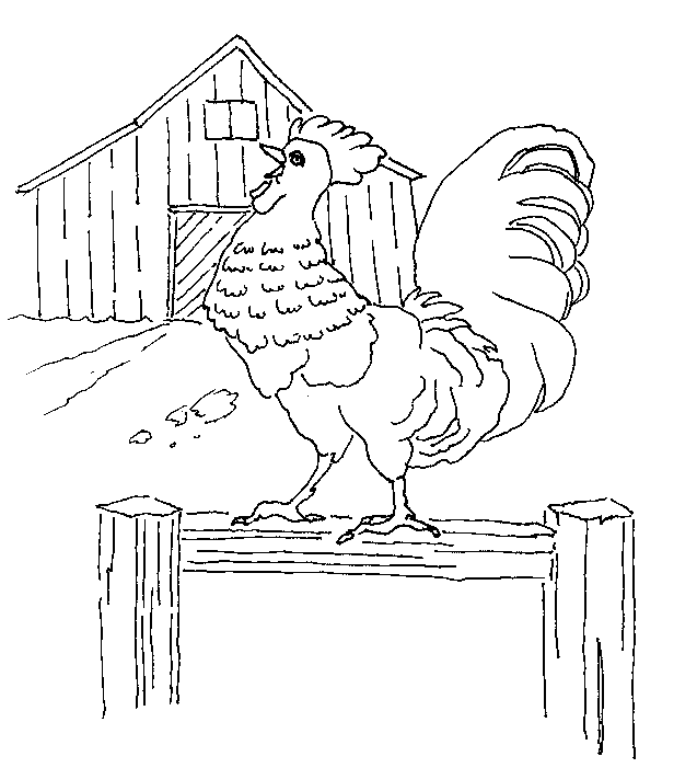 rooster.JPG (54704 bytes)