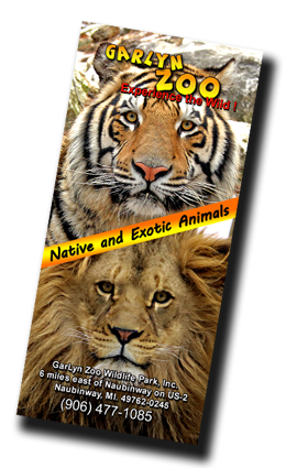 GarLyn Zoo brochure.... Click to download and view at a later time.
