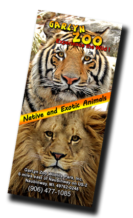 GarLyn Zoo Brochure