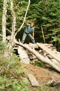Matt building cougar den
