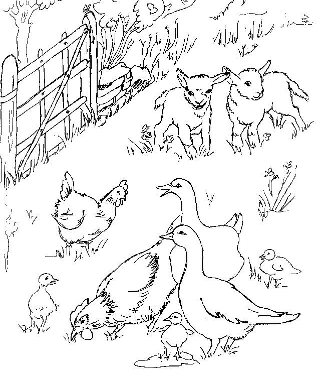 barnyard.JPG (89029 bytes)