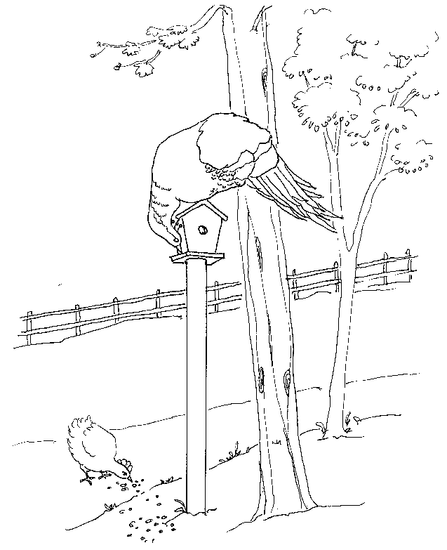 birdfeeder.JPG (59399 bytes)