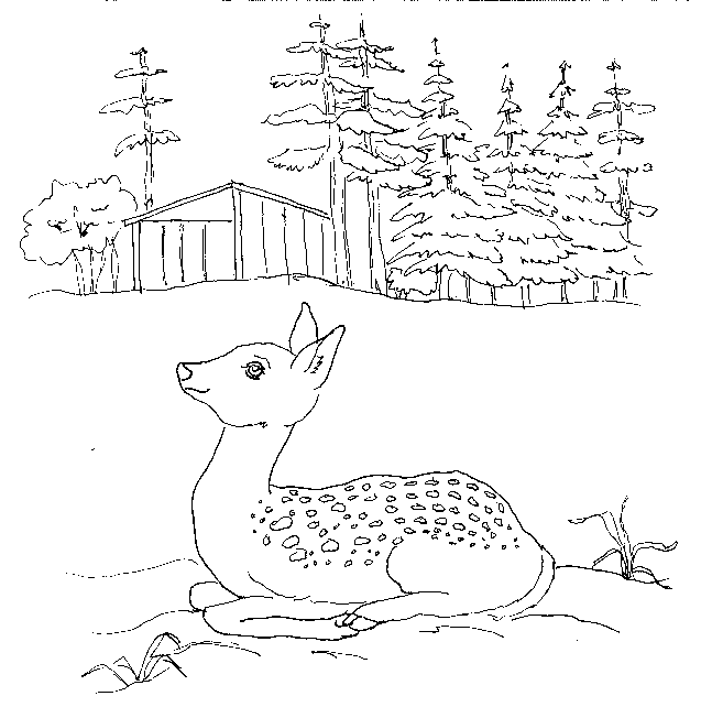 fawn.JPG (58560 bytes)