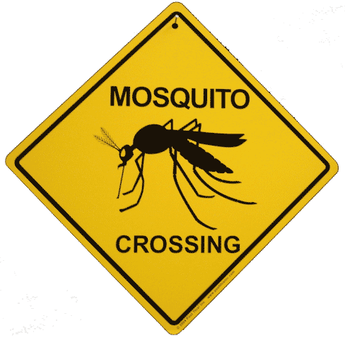 Mosquito Crossing